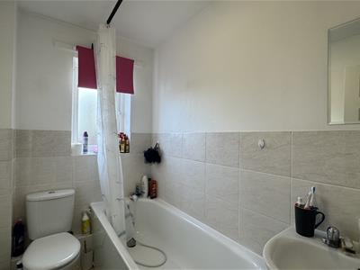 Picture 8